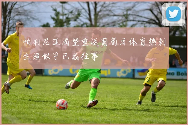 帕利尼亚渴望重返葡萄牙体育热刺生涯似乎已成往事