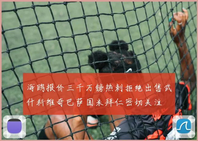 海鸥报价三千万镑热刺拒绝出售武什科维奇巴萨国米拜仁密切关注
